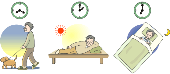 Your Body Clock and How It Affects Your Overall Health