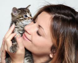 Cat Owners, Beware of Toxoplasmosis!