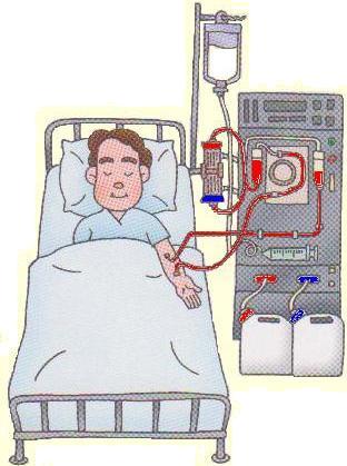 Let’s Undergo PYRO-ENERGEN Therapy before Dialysis, Part II