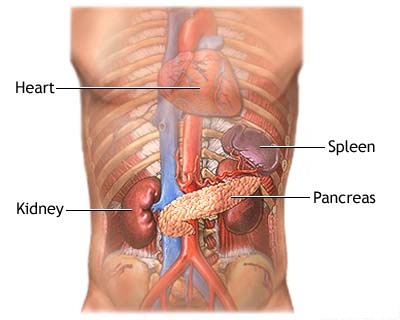 Pancreatitis: Can Your Internal Organs Melt?